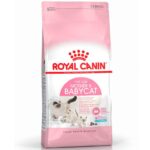 Royal Canin Mother & Babycat 1.5 Kg