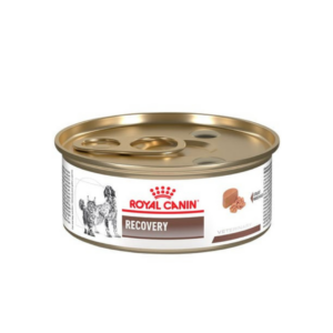 Royal Canine Recovery Feline/Canine Lata 145 Gr