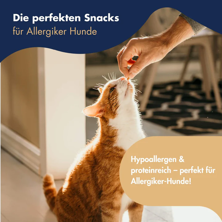 Dr. Clauder´s Trainee Snack Insect Perros/Gatos 80 Gr - Imagen 4